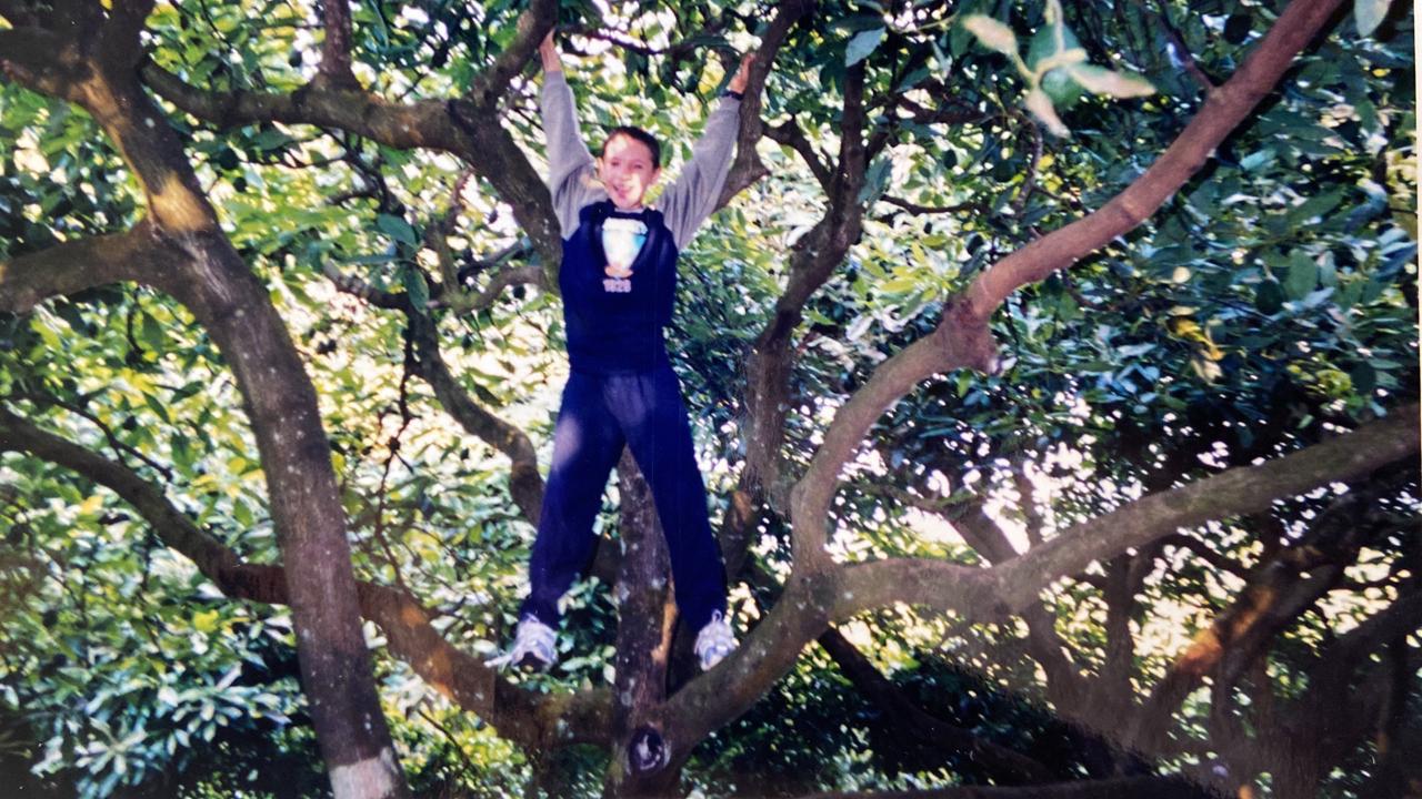 From the Grove to the Bottle: Why Avocado Oil Matters